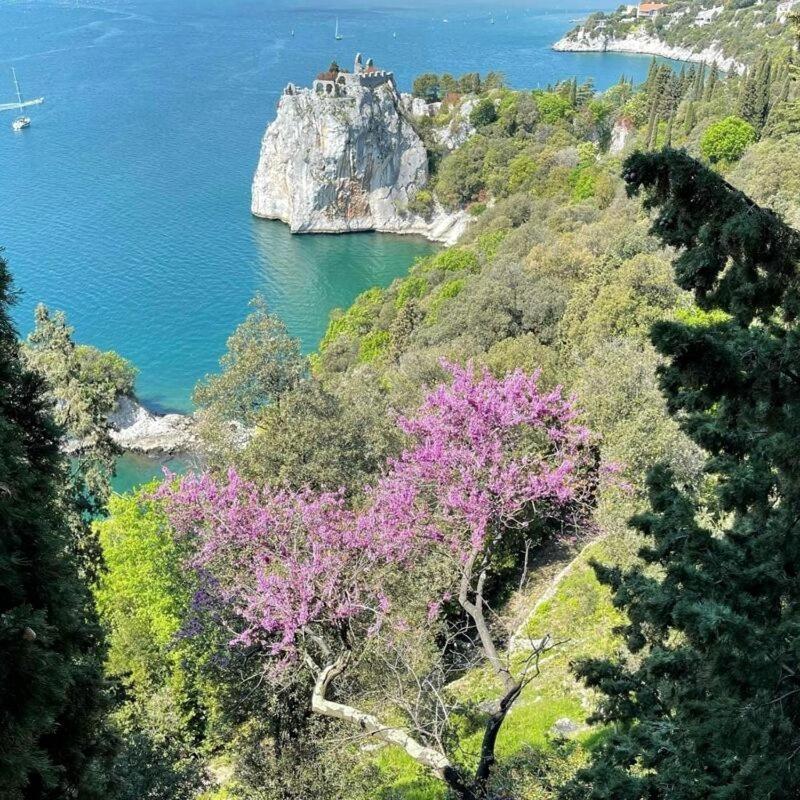 Incantevole Vista Dalle Mura Del Castello. Gradisca dʼIsonzo Exterior foto